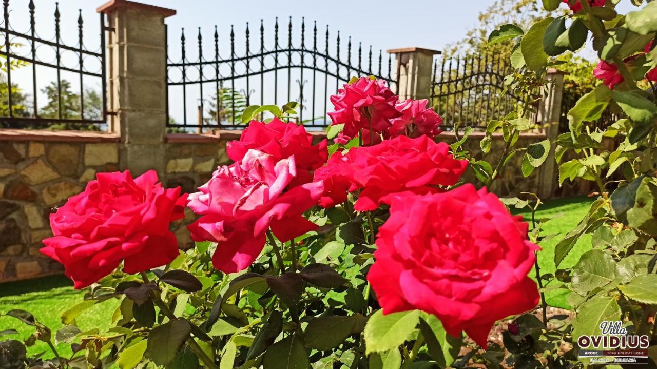 Arode Villa Ovidius バルチク エクステリア 写真